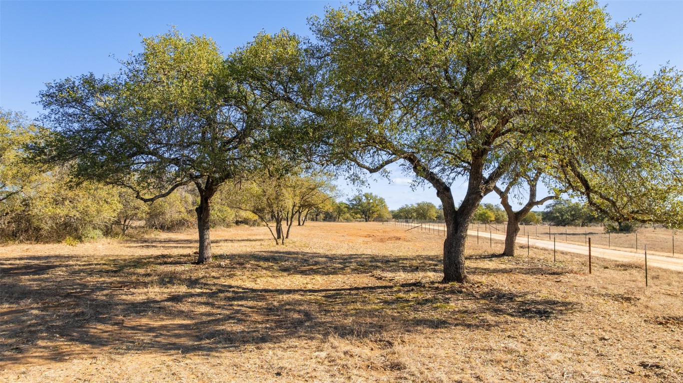 Tbd Towhead Valley Road Johnson City, TX 78636 - Photo 2 of 9 a view of yard with trees