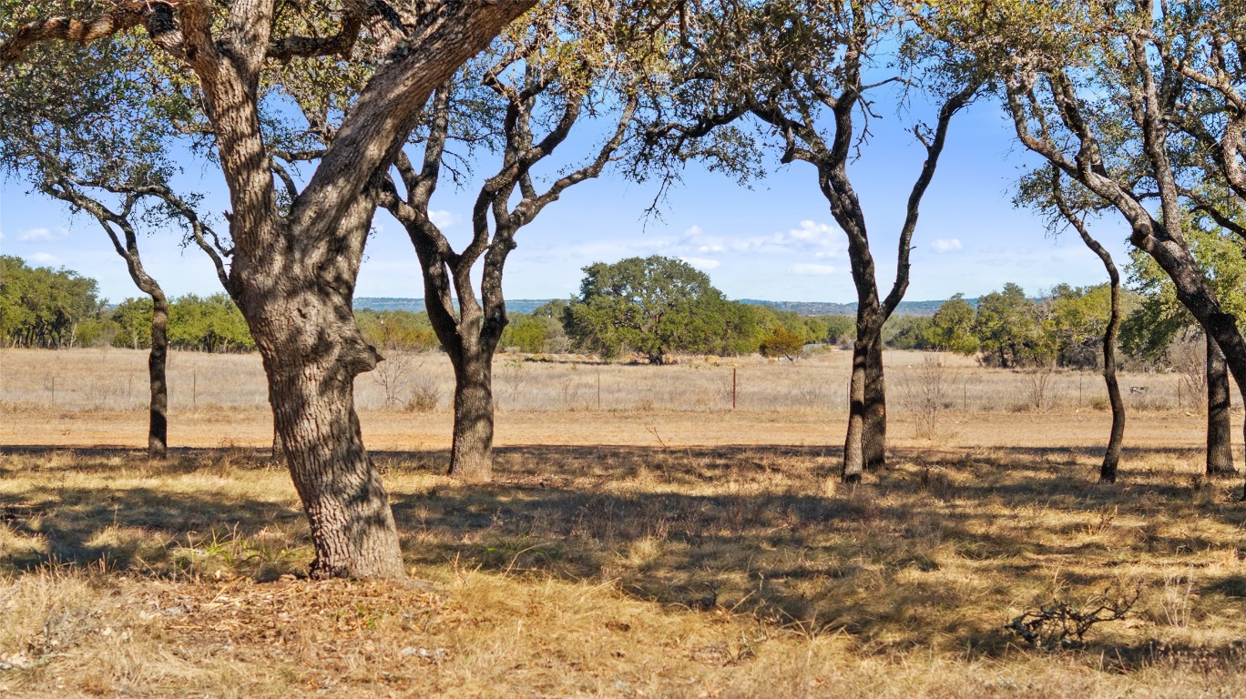 Tbd Towhead Valley Road Johnson City, TX 78636 - Photo 5 of 9 a view of a yard with a tree
