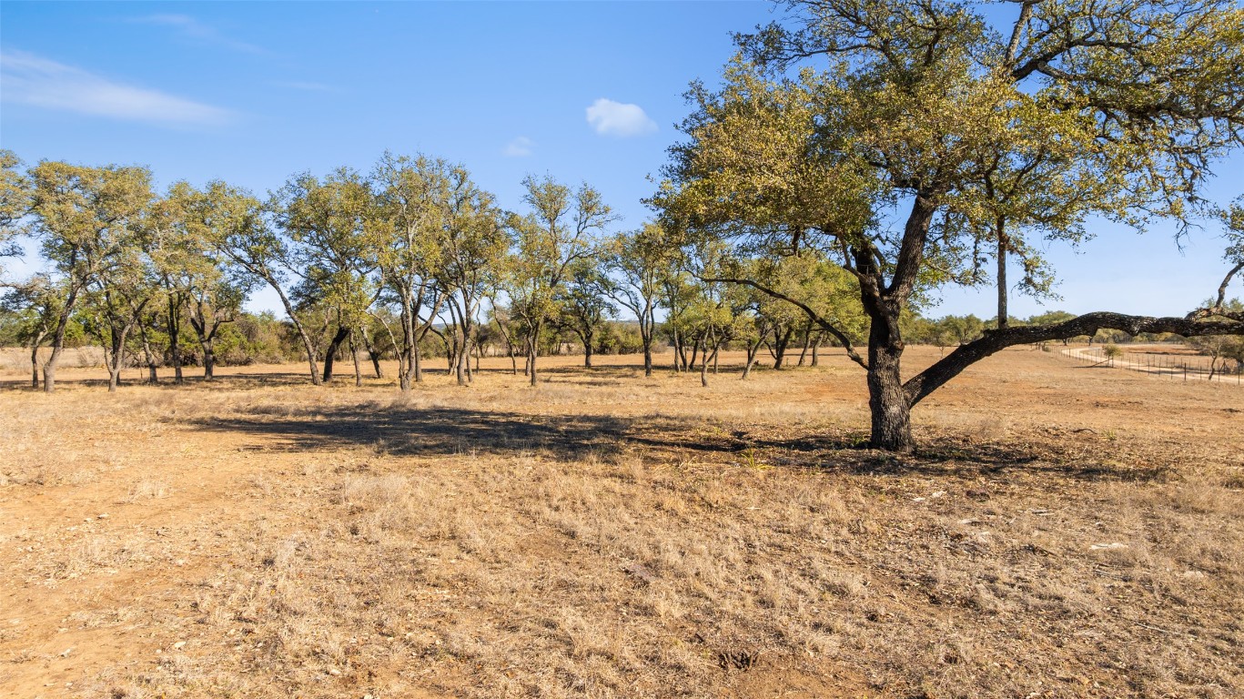 Tbd Towhead Valley Road Johnson City, TX 78636 - Photo 6 of 9 a view of dirt yard with a large tree