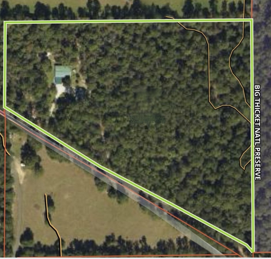516 County Road 4800 Warren, TX 77664 - Photo 50 of 50 a view of a forest