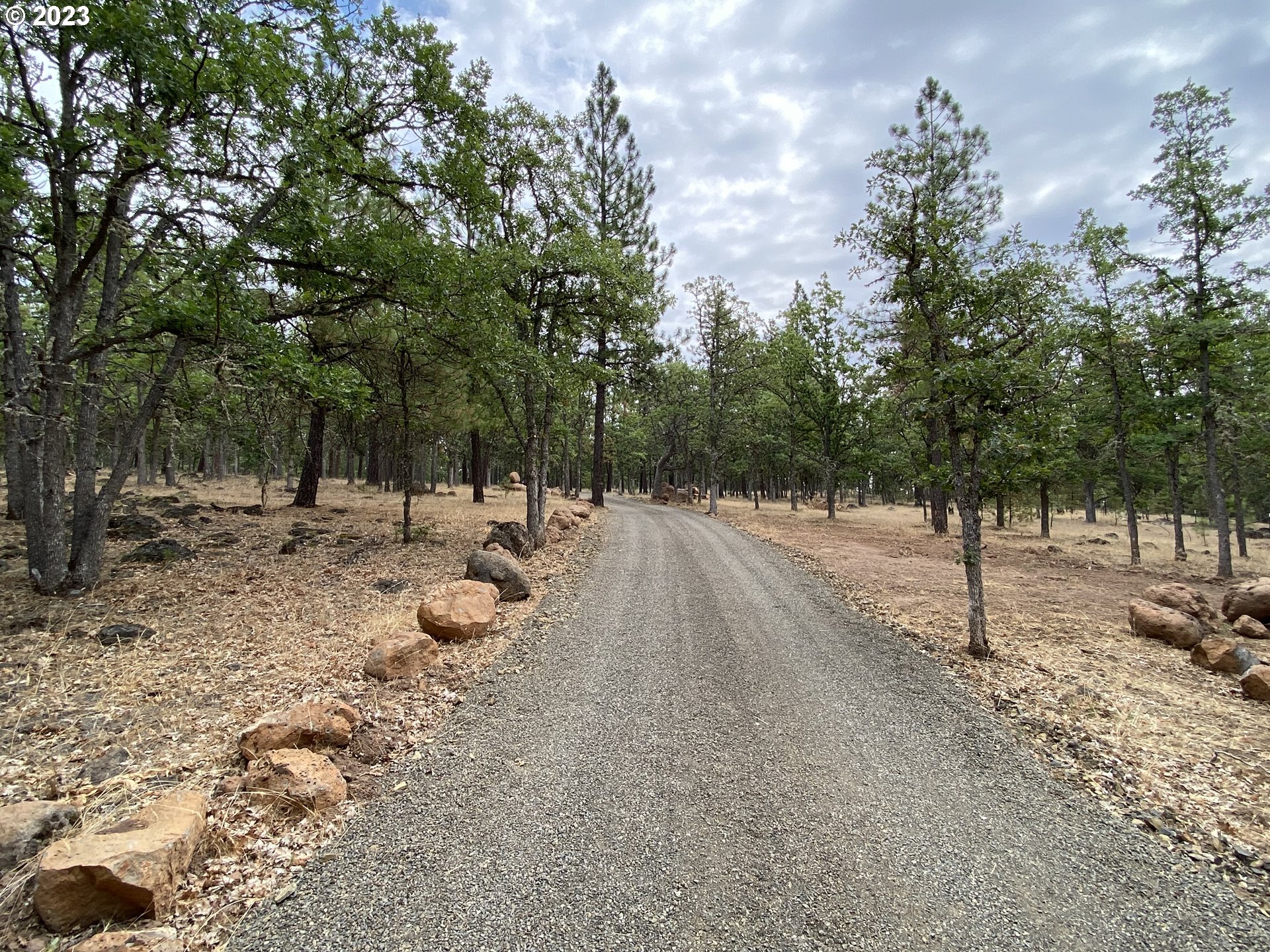 227 Locust Lane Goldendale, WA 98620 - Photo 34 of 48 a view of a forest with trees