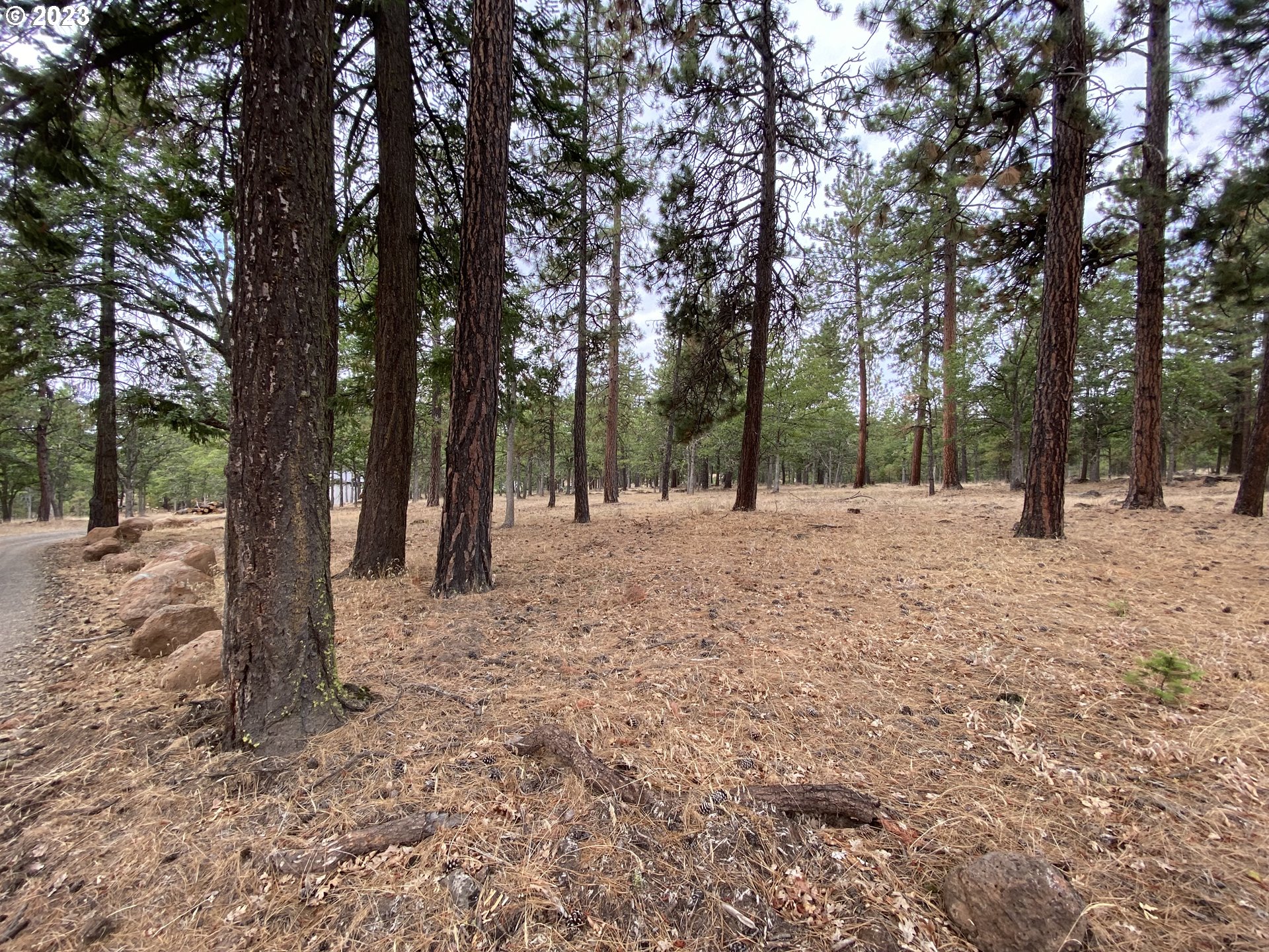 227 Locust Lane Goldendale, WA 98620 - Photo 44 of 48 a view of outdoor space with trees