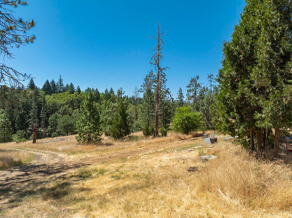 650 Gold Canyon Road Selma, OR 97538 - Photo 13 of 47 16