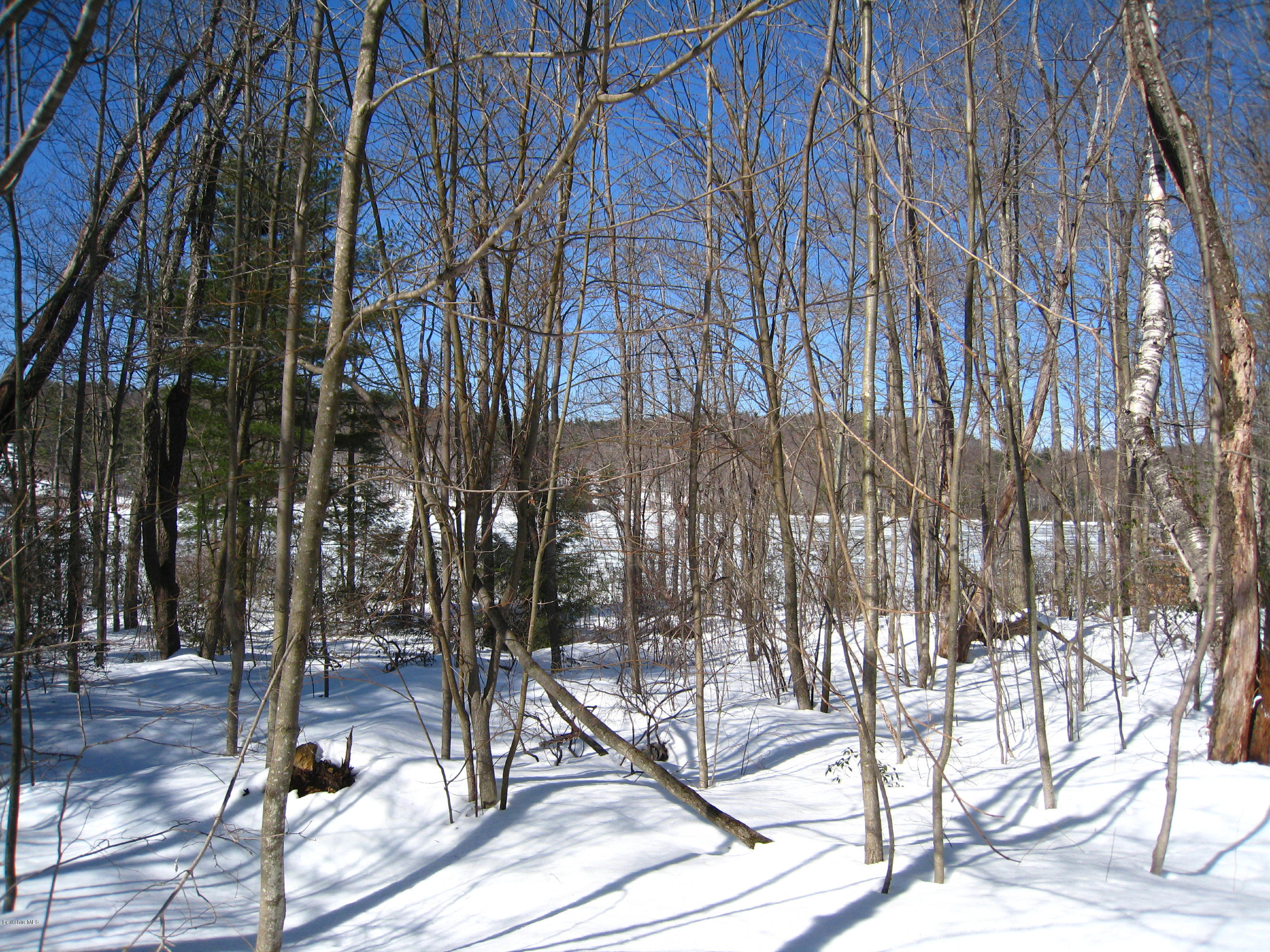 76 Cronk Road Monterey, MA 01245 - Photo 6 of 10 a view of outdoor space