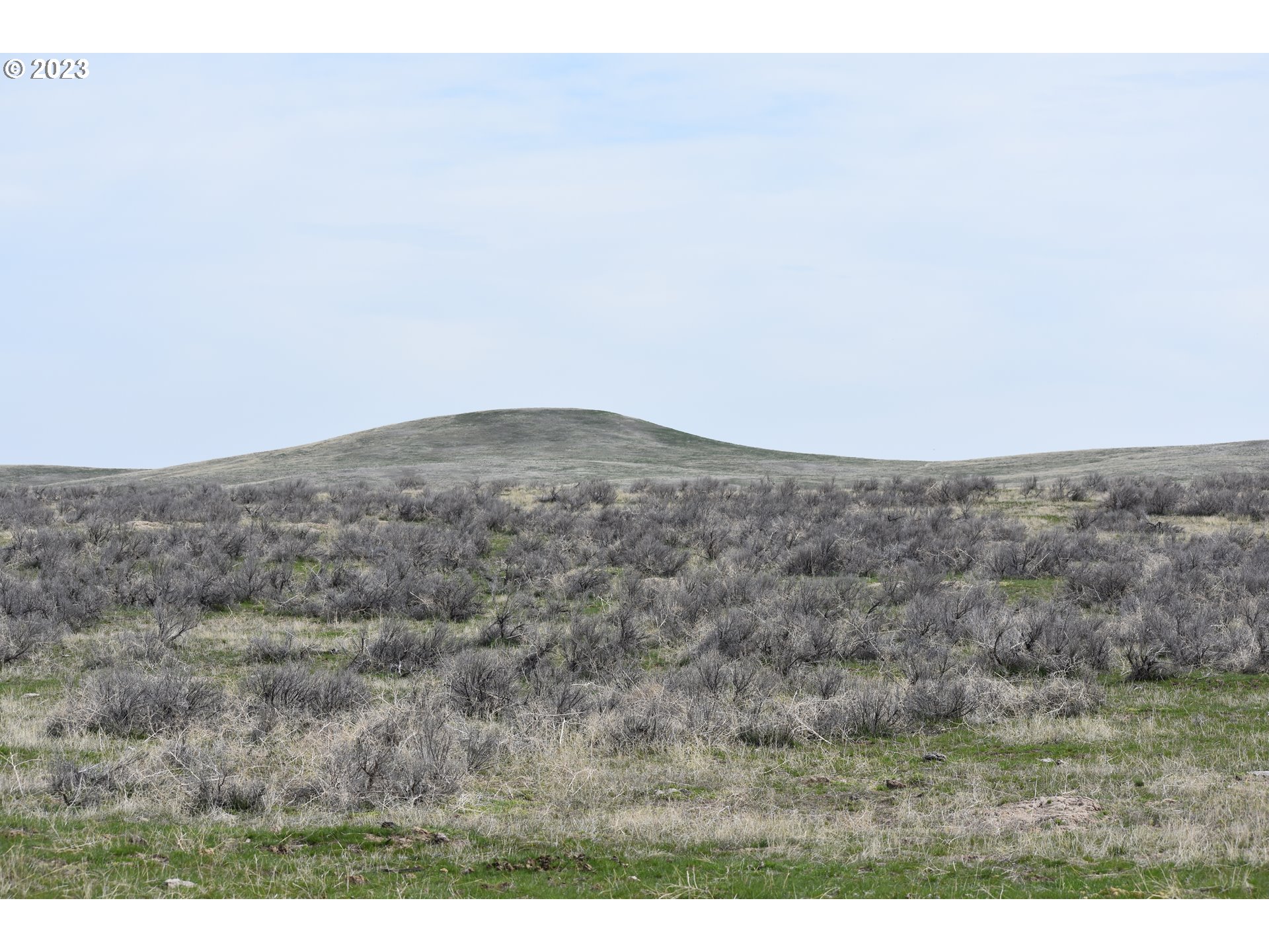 3915 Greenfield Road Vale, OR 97918 - Photo 13 of 30
