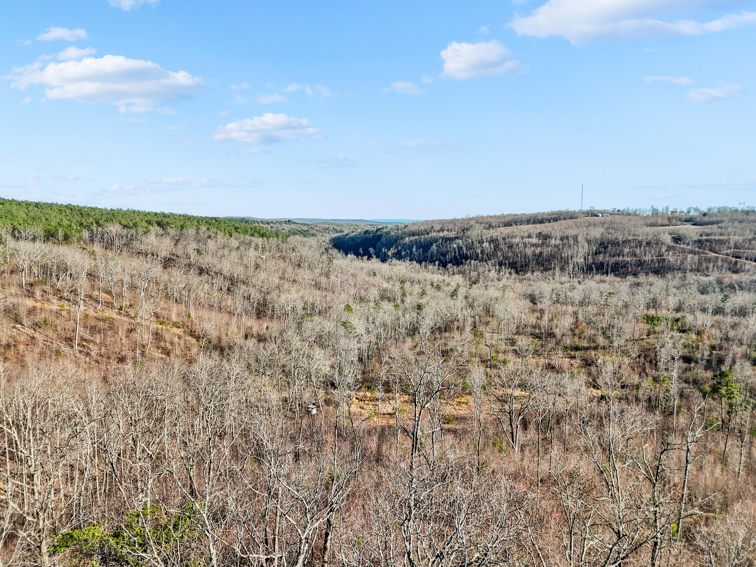 2085-1935 Big Fork Road Chattanooga, TN 37405 - Photo 13 of 22 Aerial View