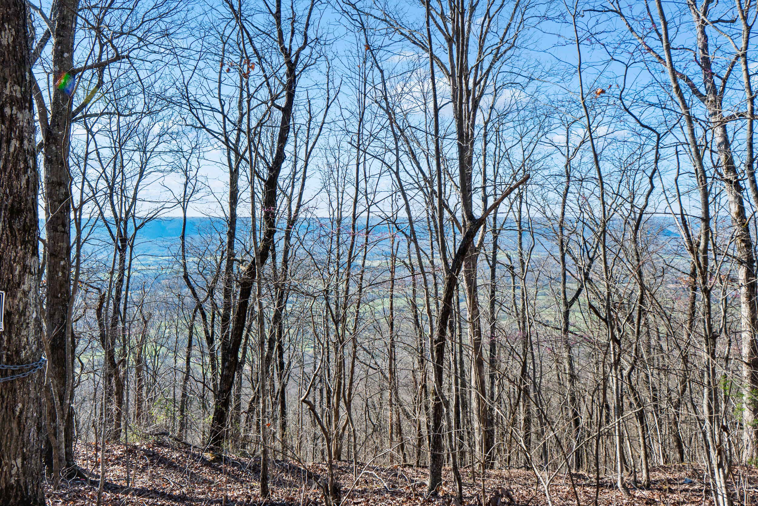 2085-1935 Big Fork Road Chattanooga, TN 37405 - Photo 18 of 22 Private Views