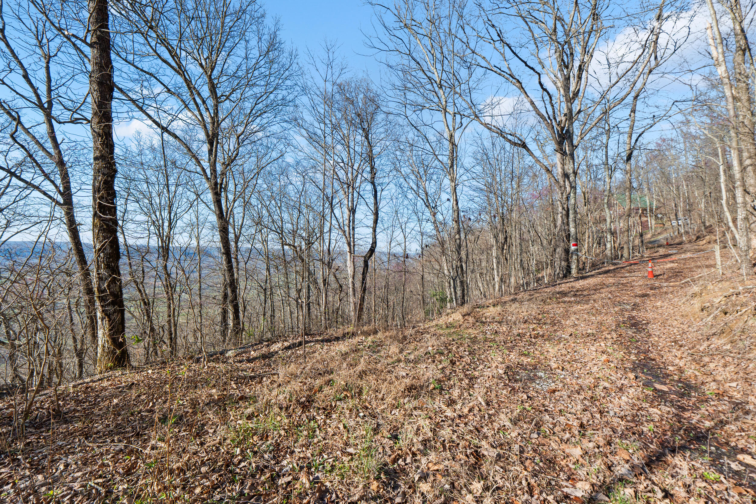 2085-1935 Big Fork Road Chattanooga, TN 37405 - Photo 2 of 22 Private Views