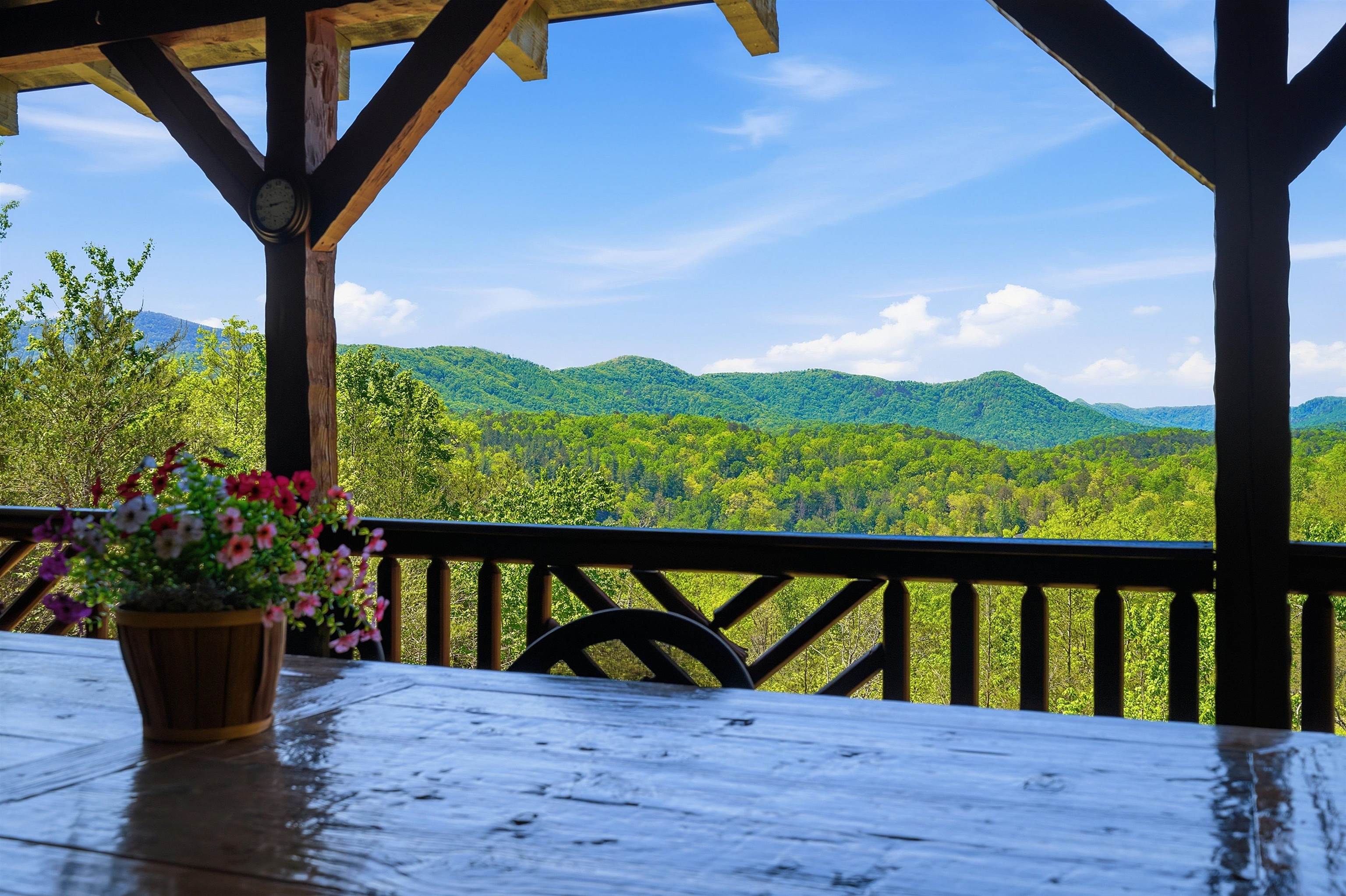 723 North Highland Road Mill Spring, NC 28756 - Photo 33 of 49