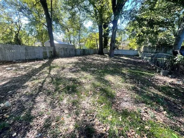 a view of a yard with plants and tree
