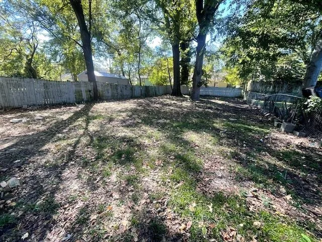 a view of a yard with plants and tree