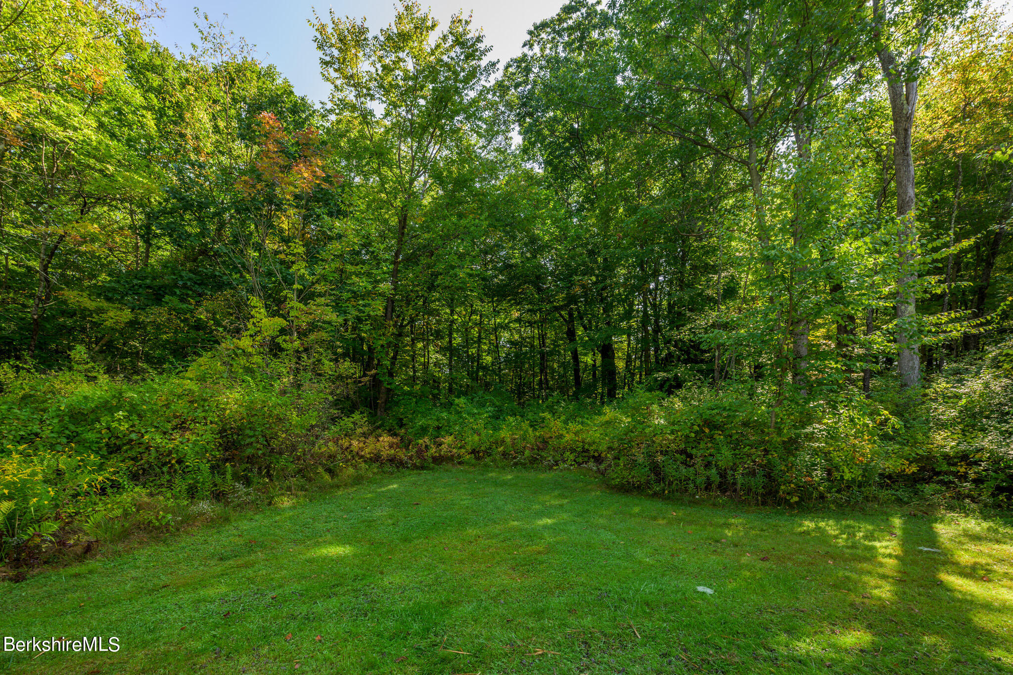 22 Mahkeenac Heights Road Stockbridge, MA 01262 - Photo 46 of 55 Rear Yard