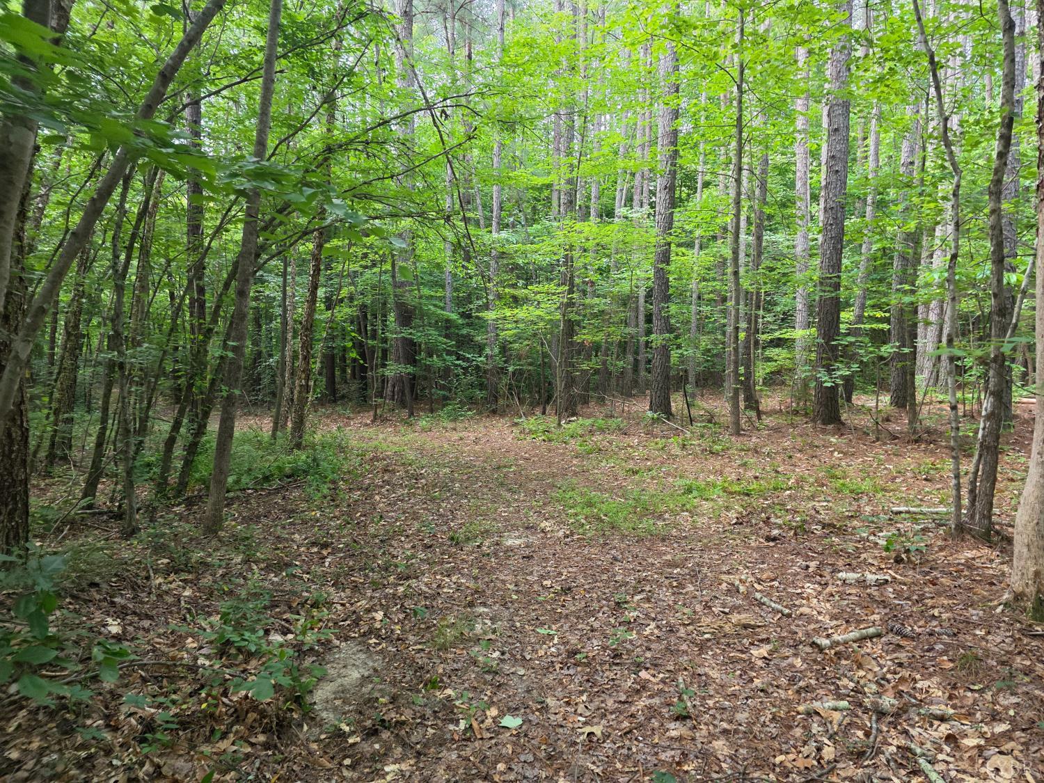 1408 Coleman Mountain Road Appomattox, VA 24522 - Photo 69 of 85 a view of outdoor space and green space