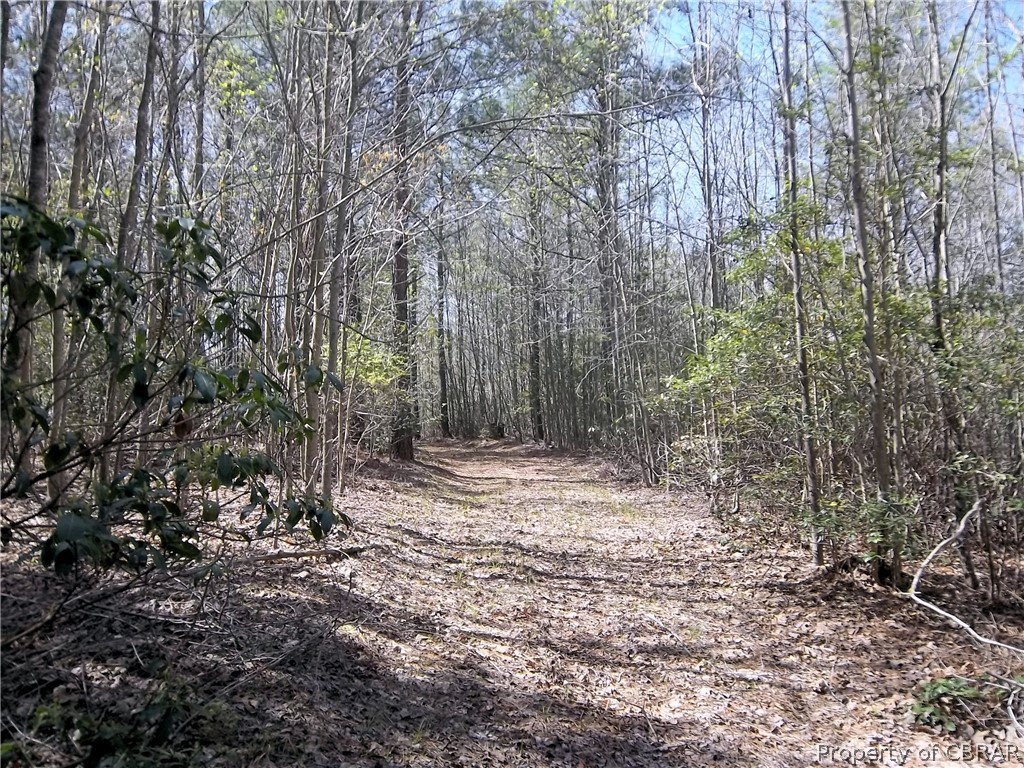 0 Water View Road Jamaica, VA 23079 - Photo 4 of 6