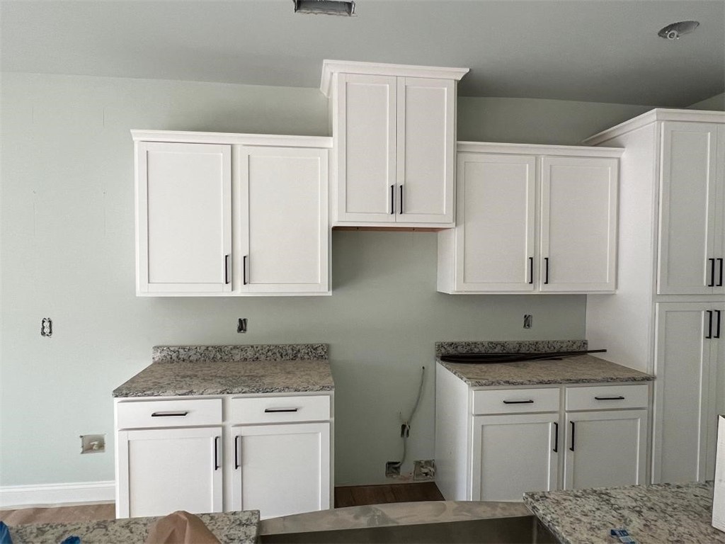 117 Bonaire Point Anderson, SC 29621 - Photo 7 of 11 Granite Countertops/Please pardon our construction