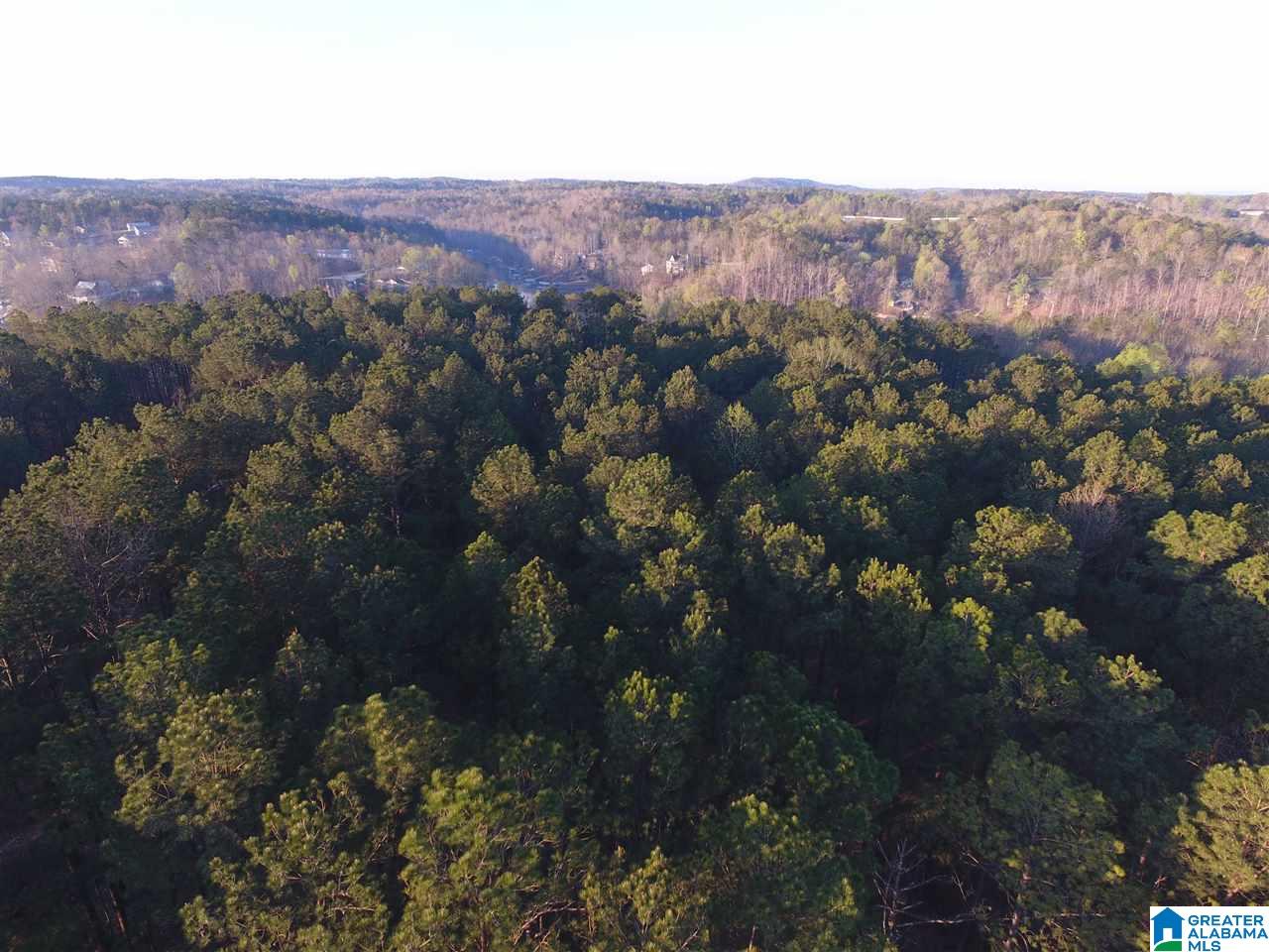 Creek Run Road Wedowee, AL 36278 - Photo 4 of 6