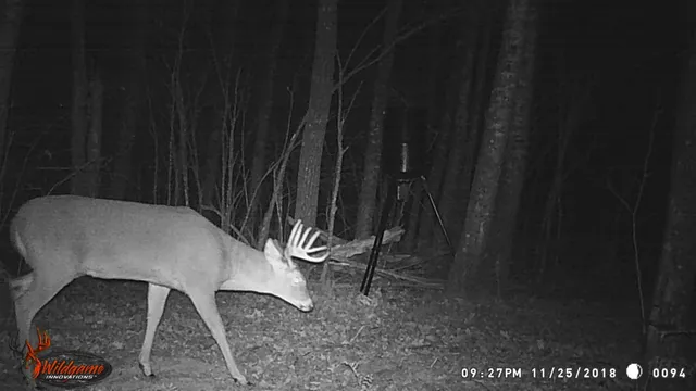 $162,000 | 2155 East Kingsdale Road, Danbury, WI 54830