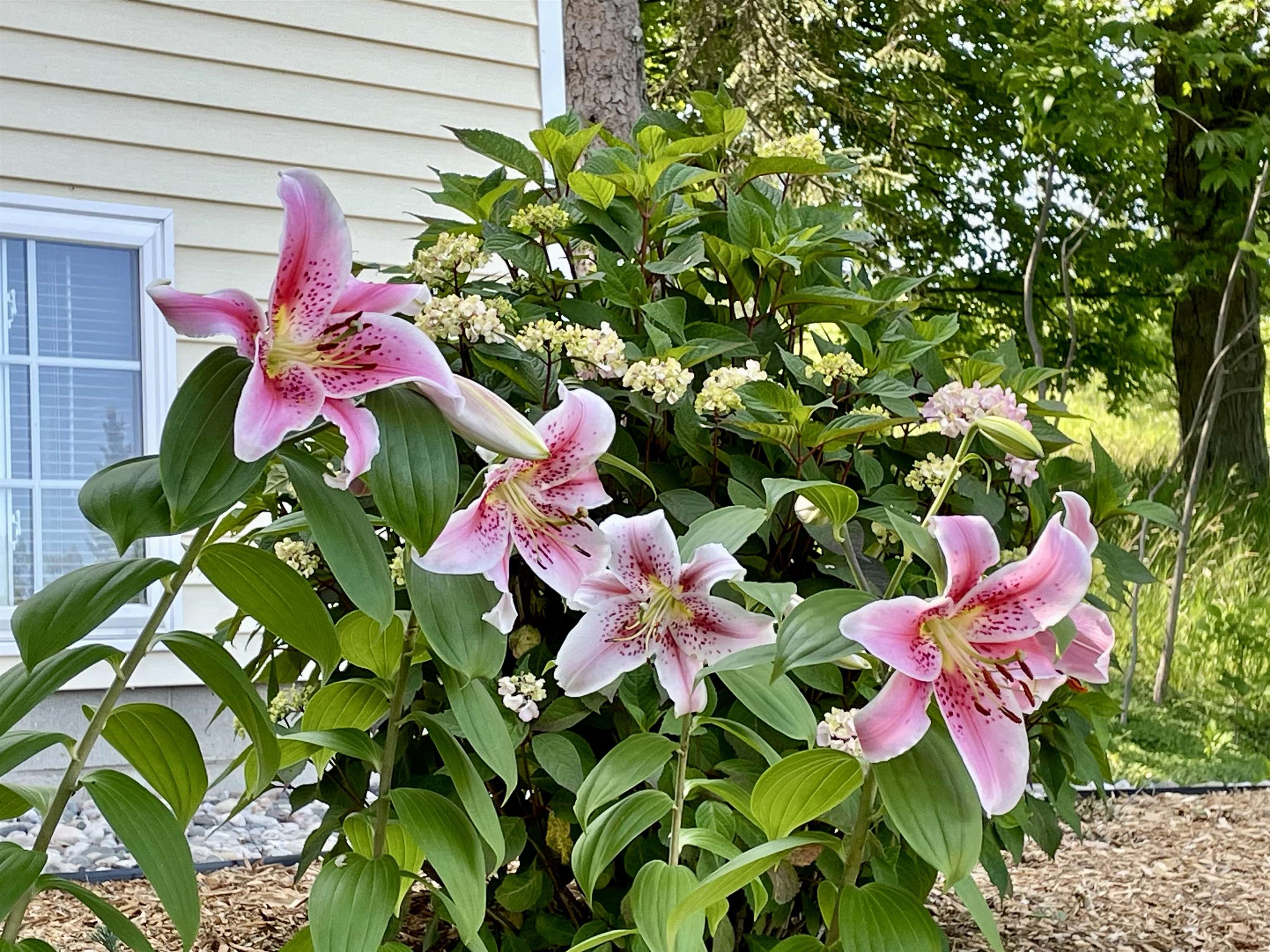 8729 Center Road Traverse City, MI 49686 - Photo 94 of 96 Gallery Image 94