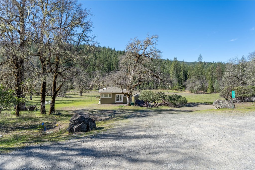 30429 Ridgewood Drive Potter Valley, CA 95469 - Photo 2 of 38 a view of a park with large trees