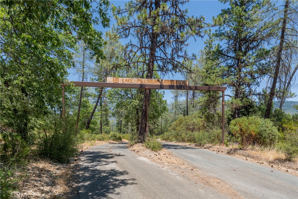 30429 Ridgewood Drive Potter Valley, CA 95469 - Photo 28 of 38 a backyard of a house with large trees and plants