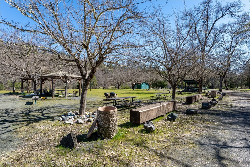 30429 Ridgewood Drive Potter Valley, CA 95469 - Photo 32 of 38 a view of a park with large trees
