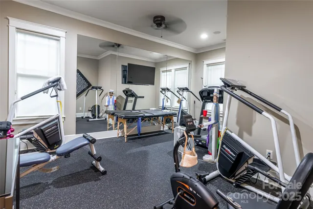 a reading room with furniture and a potted plant
