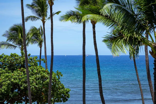 $599,000 | 250 Hauoli Street, Unit 412, Wailuku, HI 96793