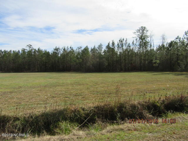 Lot 4 Springhill Road Maysville, NC 28555 - Photo 4 of 9 View 3