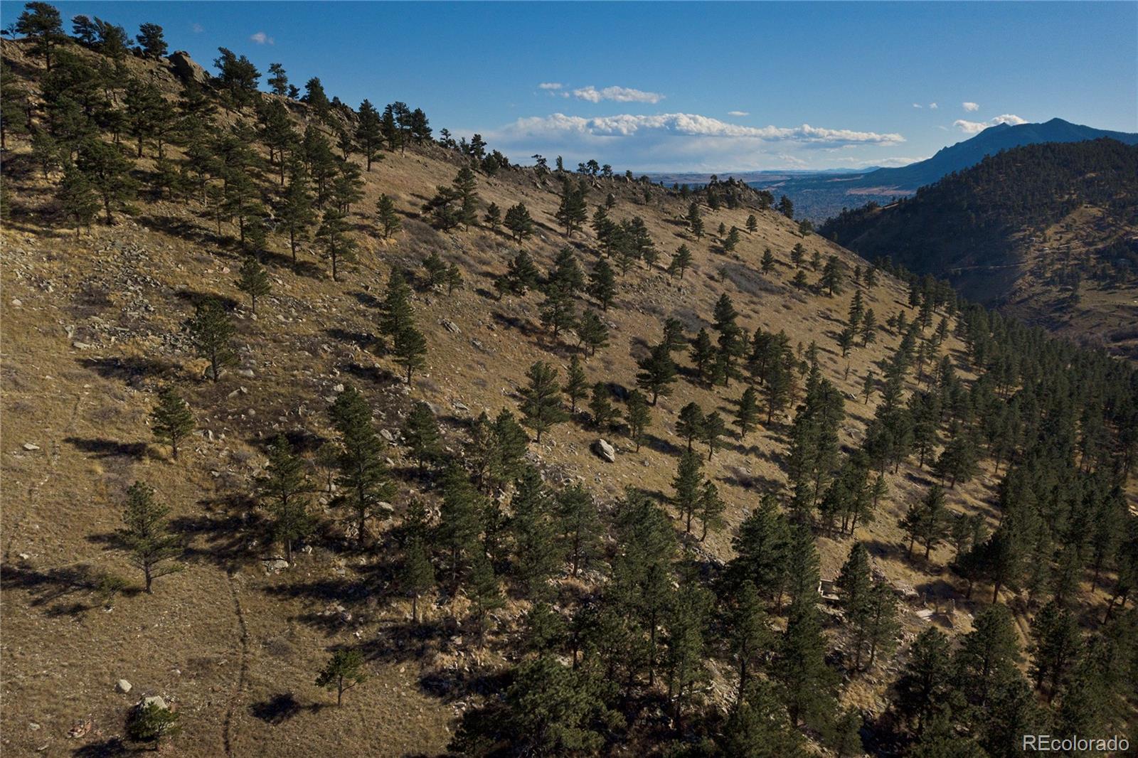 5384 Olde Stage Road Boulder, CO 80302 - Photo 21 of 28 a view of a tree in a field