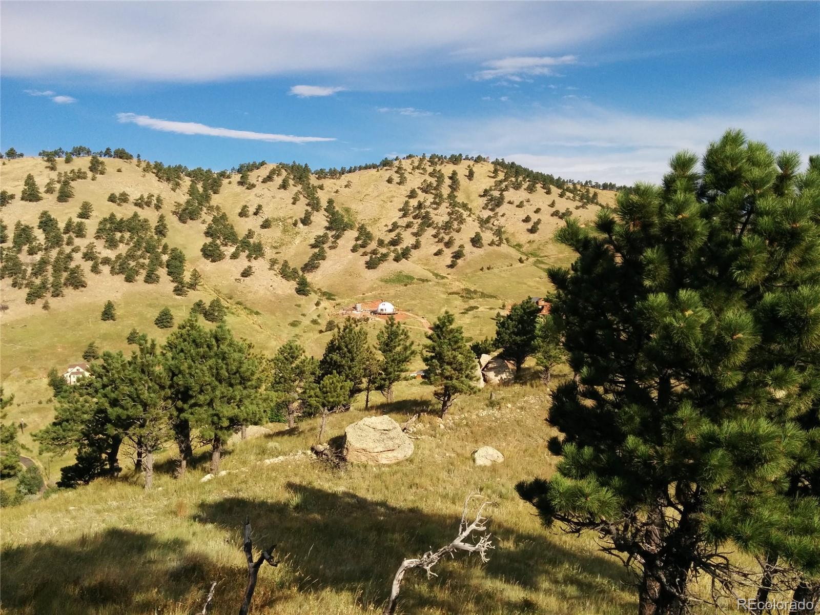 5384 Olde Stage Road Boulder, CO 80302 - Photo 25 of 28 a view of a yard of the building and trees