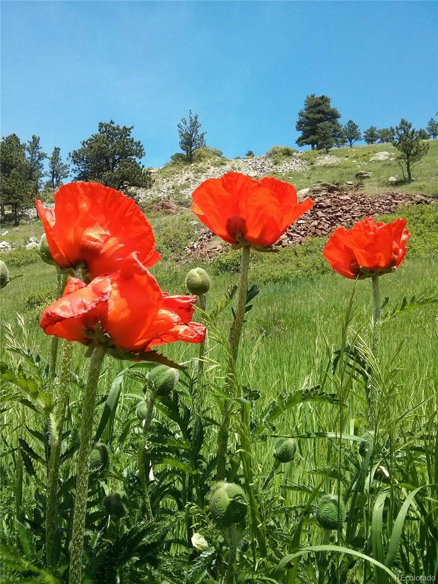 5384 Olde Stage Road Boulder, CO 80302 - Photo 26 of 28 an aerial view of a backyard