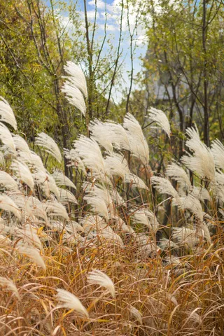 $3,454 | 8069 Enclave Bay, Woodbury, MN 55125