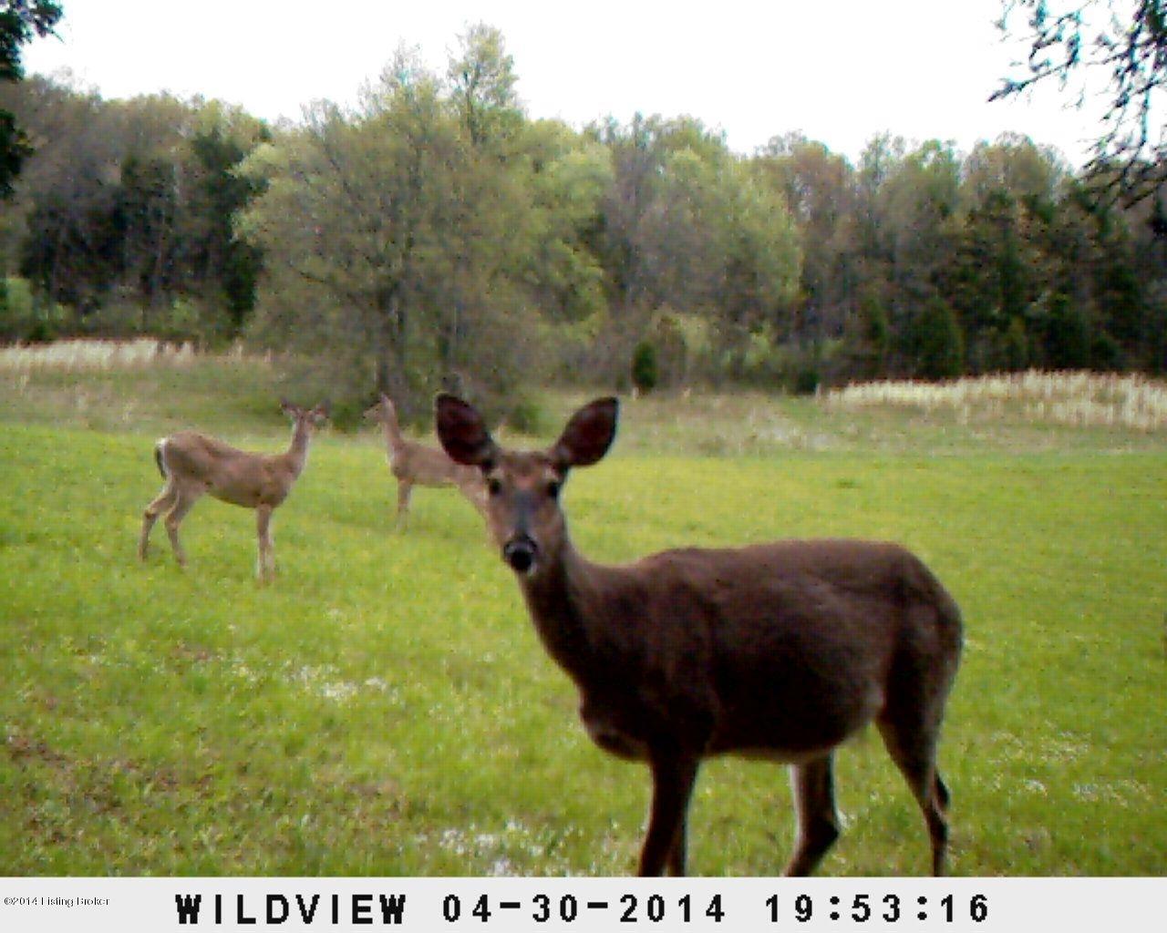1054 Howevalley Road Cecilia, KY 42724 - Photo 1 of 4 farm4