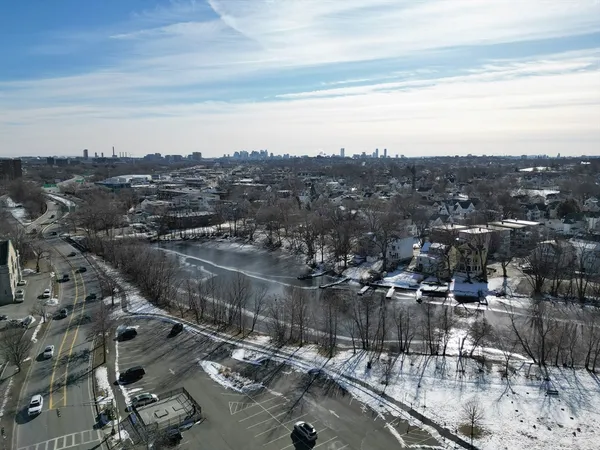 a view of a yard with trees in the background