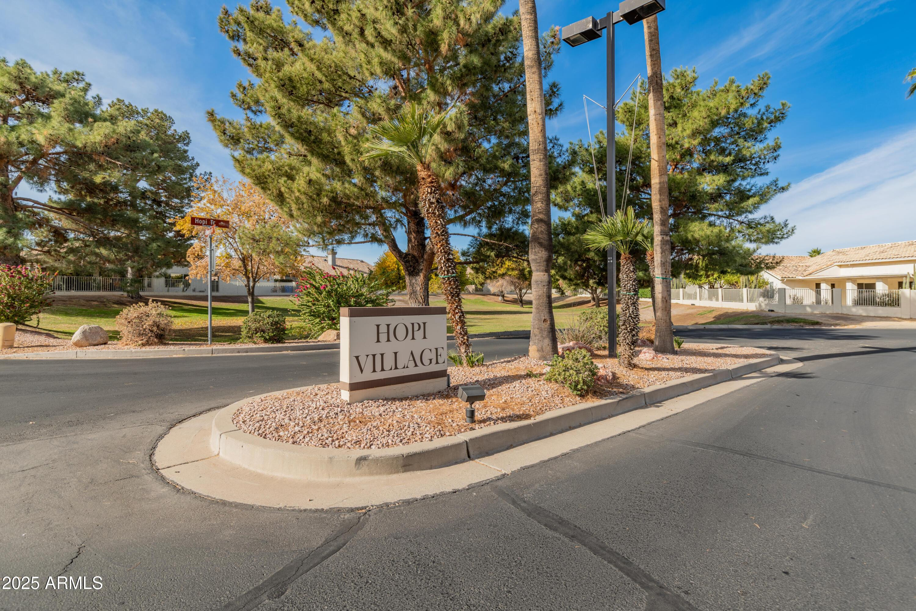 14543 West Bison Path Surprise, AZ 85374 - Photo 42 of 42 a view of a street with houses