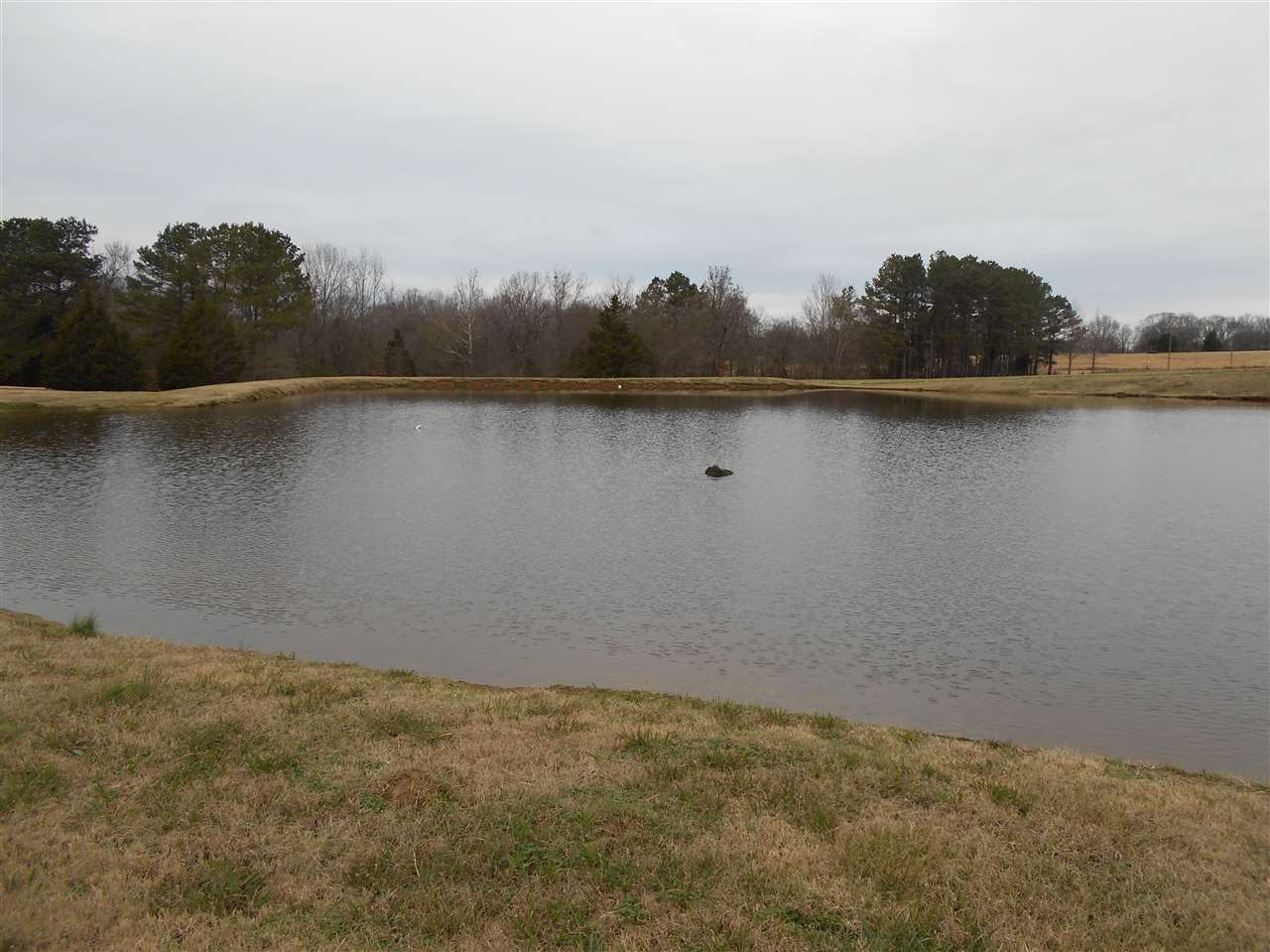 4904 Pope Water Valley Road Pope, MS 38658 - Photo 22 of 33 Photo 22