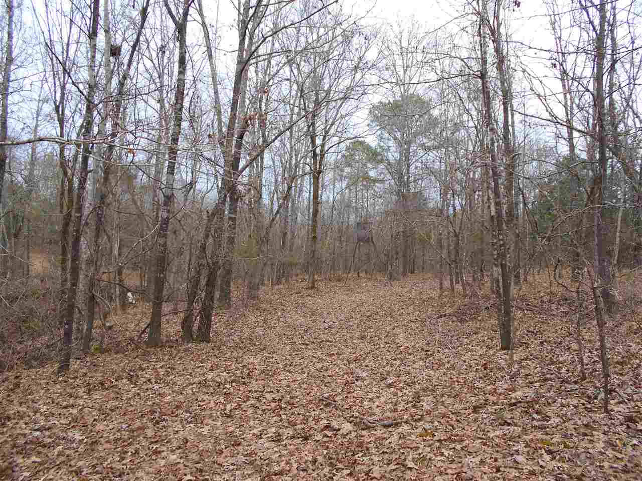 4904 Pope Water Valley Road Pope, MS 38658 - Photo 25 of 33 Photo 25