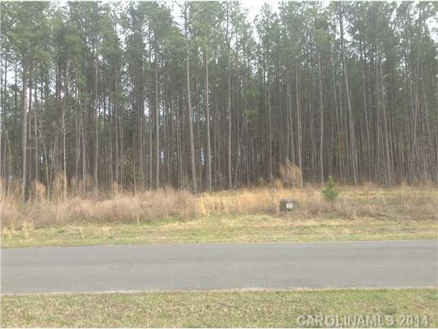 Lot 19 Lometa Road York, SC 29745 - Photo 3 of 4 Gallery Image 3