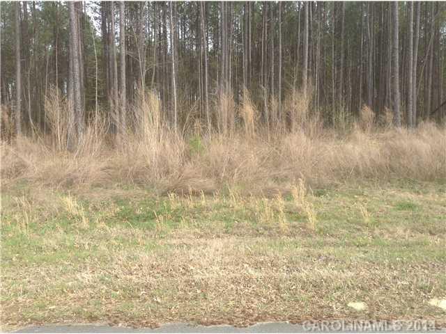 Lot 19 Lometa Road York, SC 29745 - Photo 4 of 4 Gallery Image 4