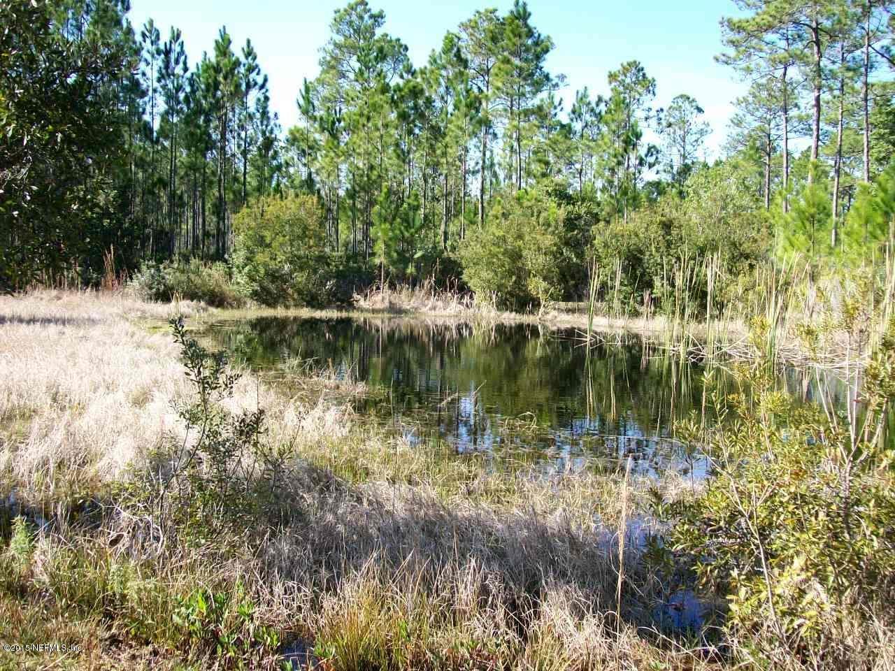134 East Satsuma Road Palatka, FL 32177 - Photo 5 of 18 Pond 3