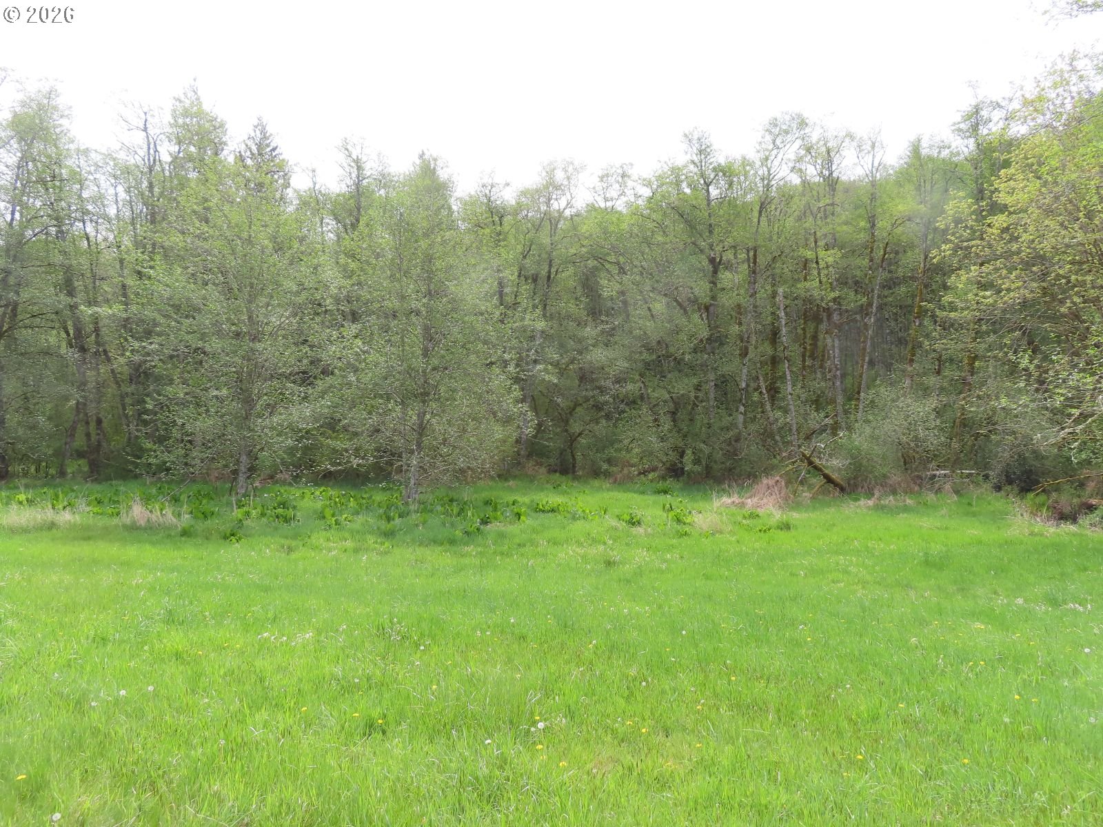 Hagen Road Mossyrock, WA 98564 - Photo 16 of 29