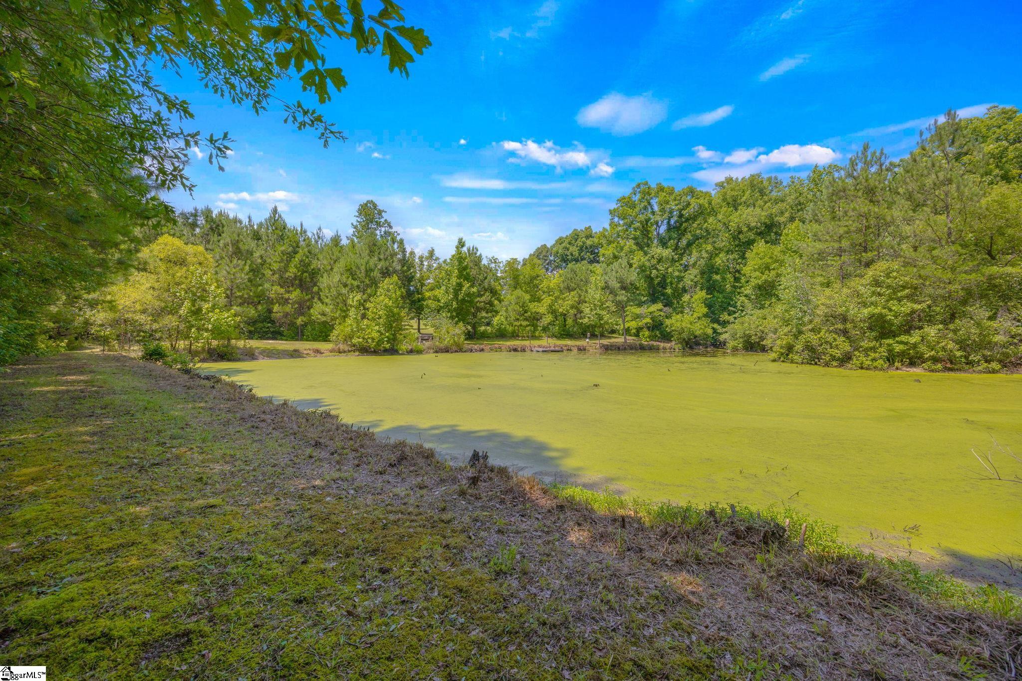 5283 Indian Creek Road Kinards, SC 29355 - Photo 7 of 40