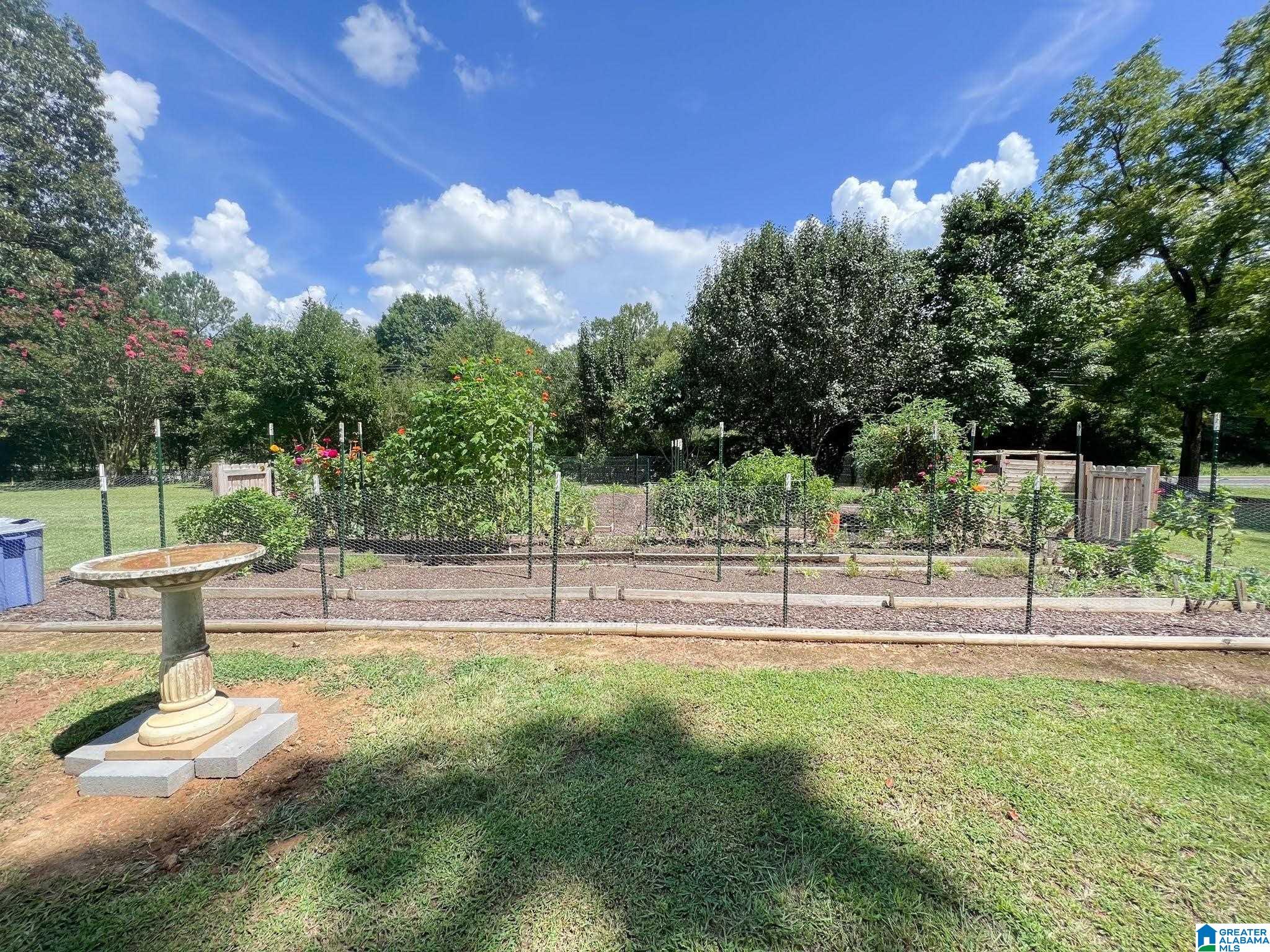 2125 Roy Webb Road Jacksonville, AL 36265 - Photo 20 of 22