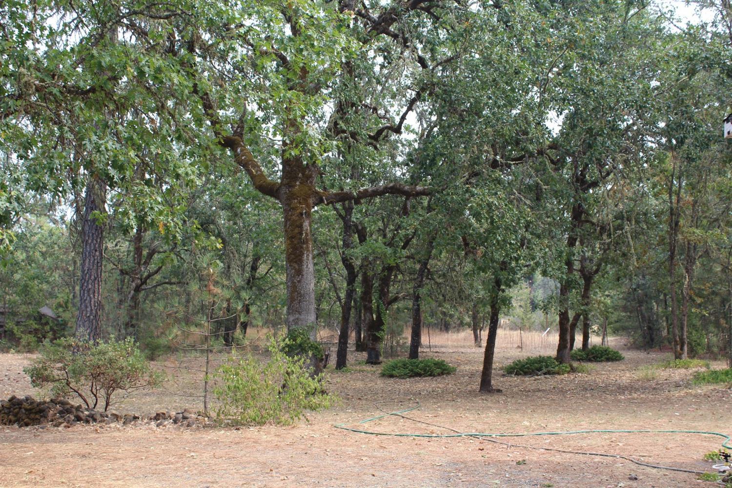5532 Rockydale Road Cave Junction, OR 97523 - Photo 18 of 19 Additional Photo
