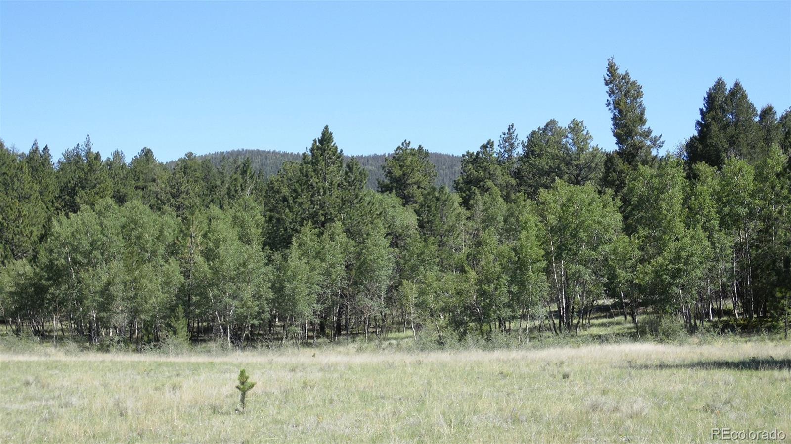 312 Copeland Road Guffey, CO 80820 - Photo 12 of 34