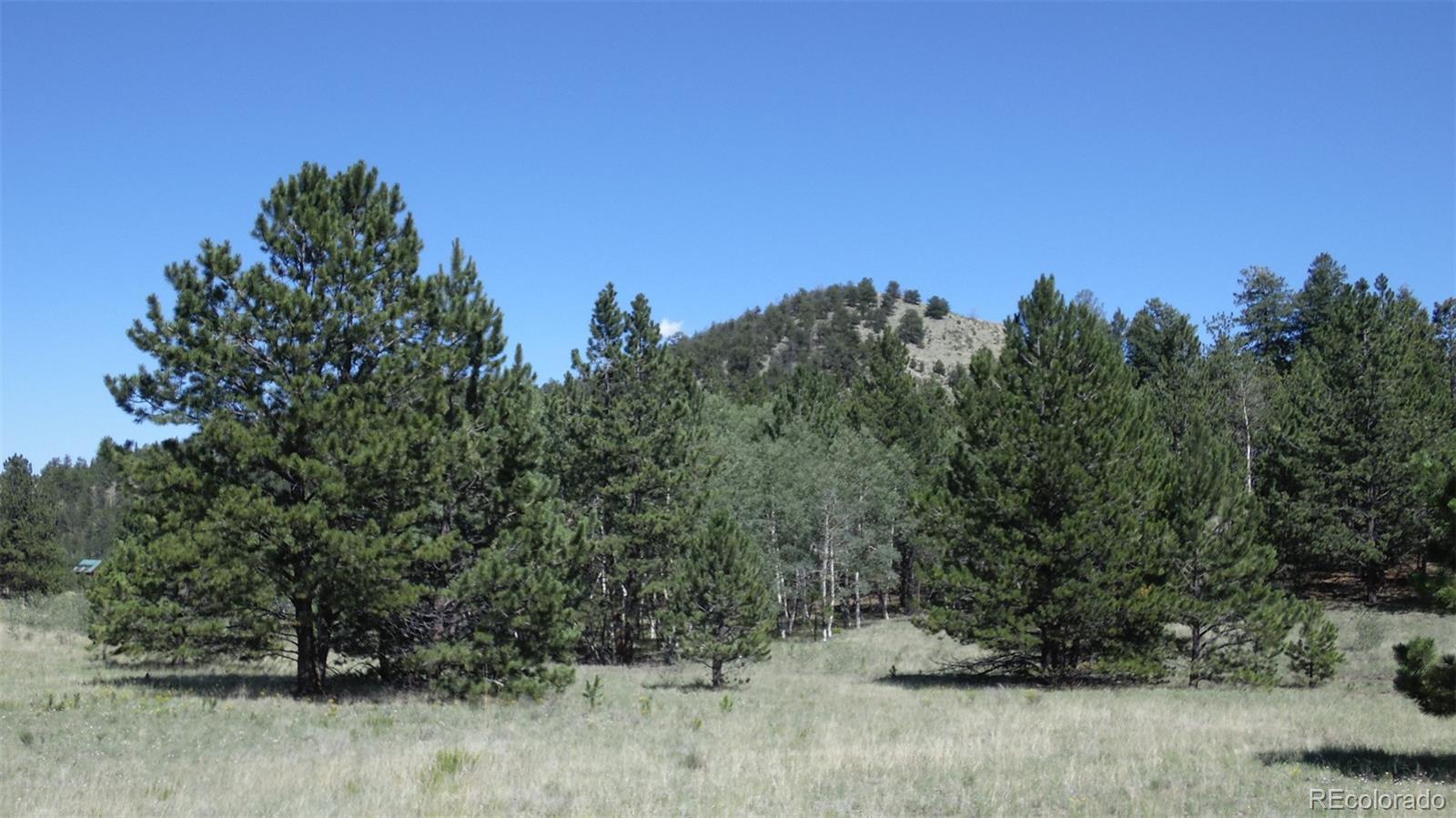 312 Copeland Road Guffey, CO 80820 - Photo 14 of 34