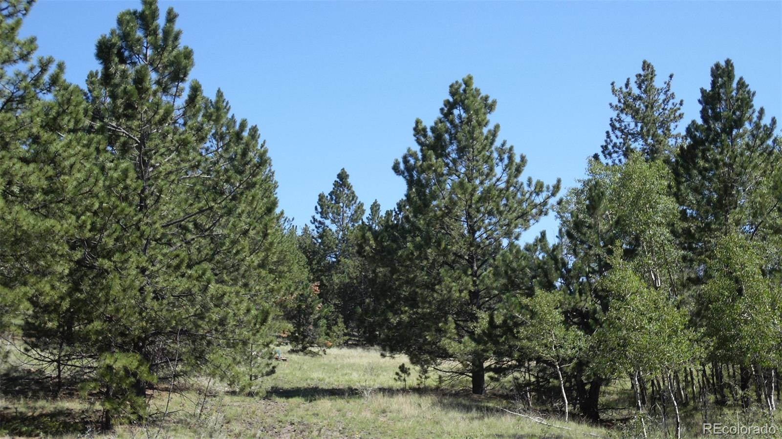312 Copeland Road Guffey, CO 80820 - Photo 17 of 34