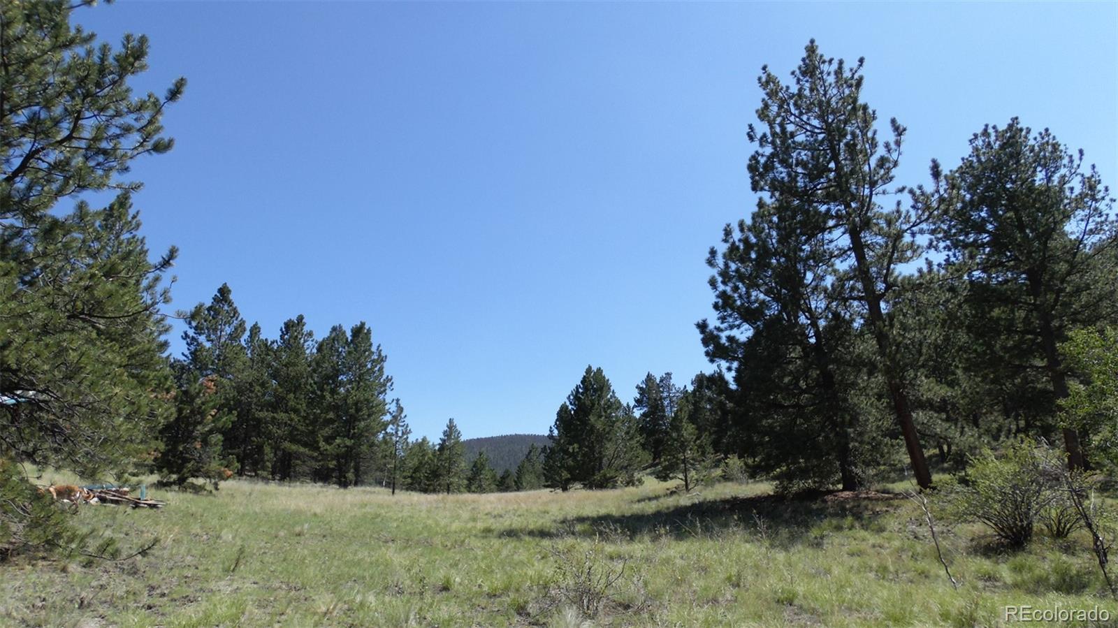 312 Copeland Road Guffey, CO 80820 - Photo 18 of 34