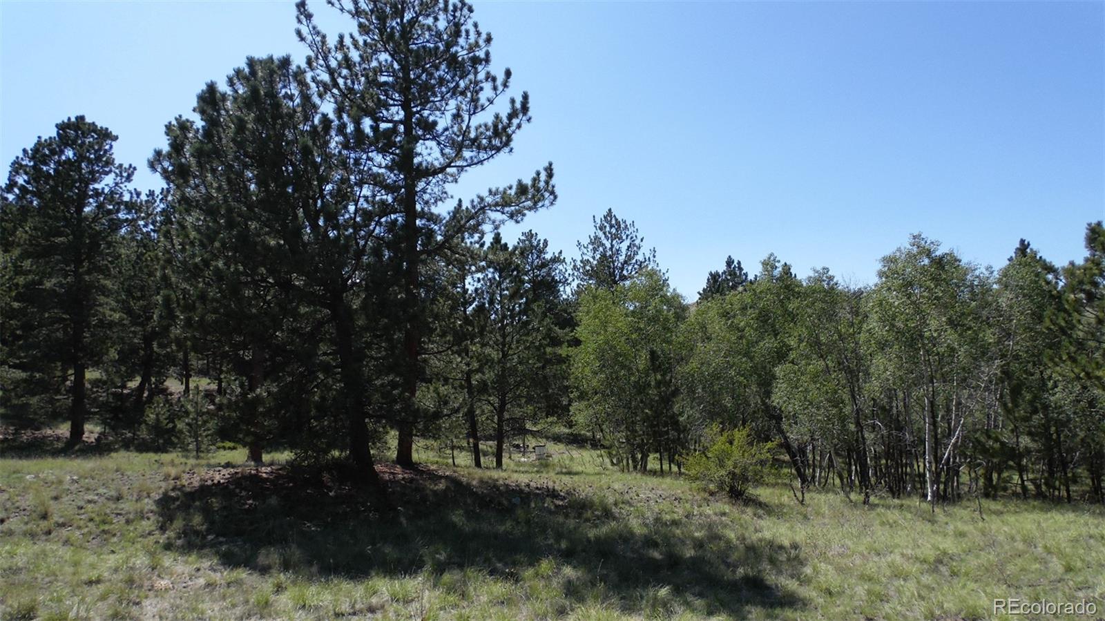 312 Copeland Road Guffey, CO 80820 - Photo 19 of 34