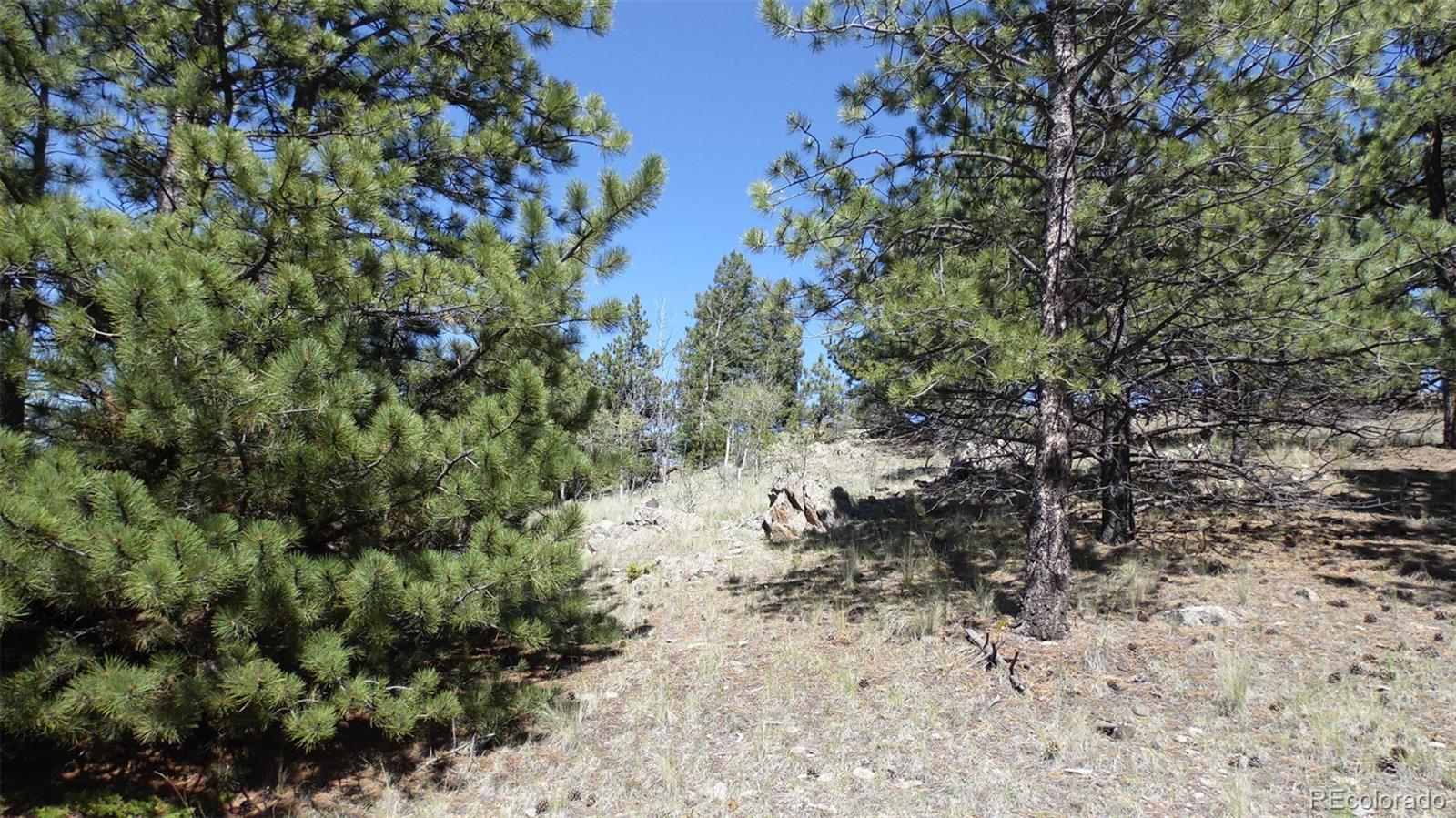 312 Copeland Road Guffey, CO 80820 - Photo 20 of 34
